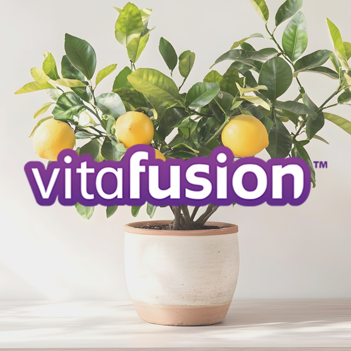 Vitafusion