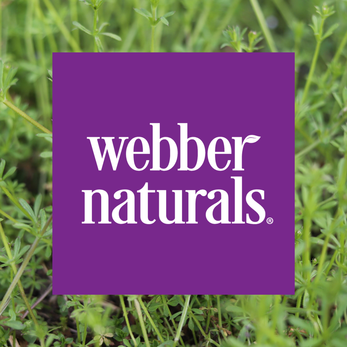 Webber Naturals Canada