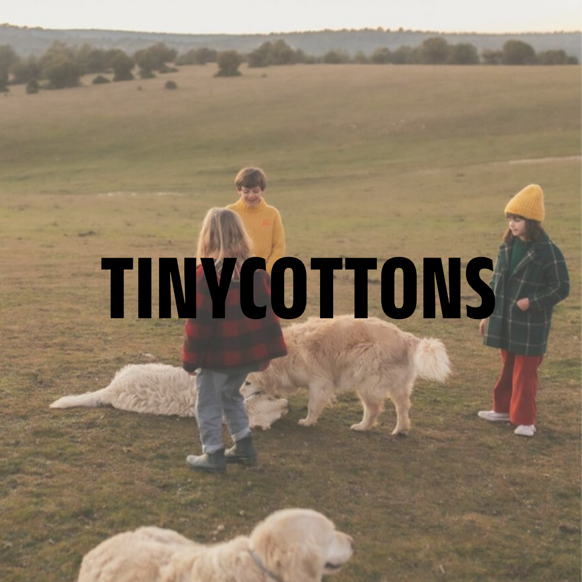 Tiny Cottons