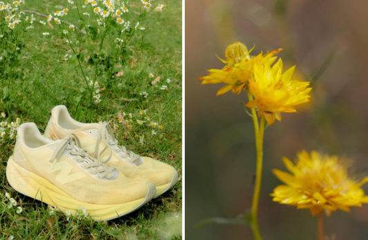 뉴발 콜라보 직구 |  New Balance X Brownyard Rebel v5 | 봄 러닝화 추천 | 캐나다배대지추천